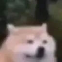 Hdawg