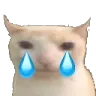 Cry Cat crycat Discord Emoji