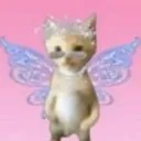 meowscess