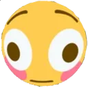 1k_blush 1k_blush