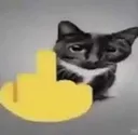 middlefingercat