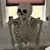 No_Shot_Skeleton