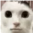 Huh