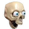 HOLY_skull