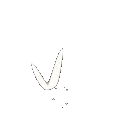 fly3