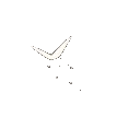 fly1