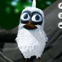 bird bird