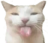 bleh bleh