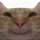 000_mew_correct