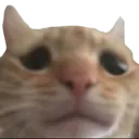 000_mew_sad Discord Emoji