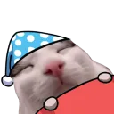 plinkbedge plinkbedge