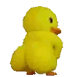duckAss