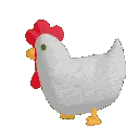 popodak_running