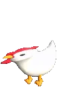 popodak_mock_left