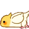 birdscoot