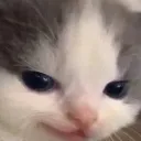 hehe