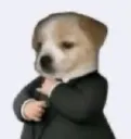 tux_dawg