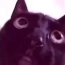 emoji_24