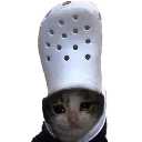 chessur