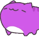 magentanodders