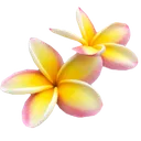 tropic_flower5