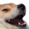 bDogekek Discord Emoji