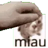 miaupet