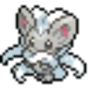 cinccino