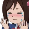bocchihands