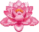 lotusflower