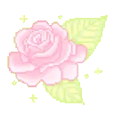 pinkrose