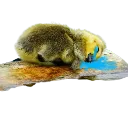 emoji_167