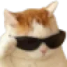 coolcat