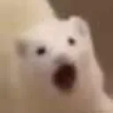 ferrit_oo