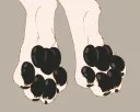 paws