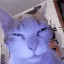 SleepDeprived