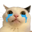 bigsad