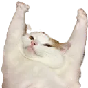 emoji_5