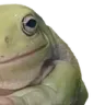 phrog2
