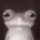 FrogStare