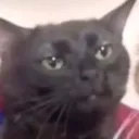 dissociate dissociate