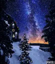 snownight