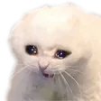 esiwokSadK