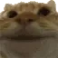 catYep