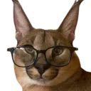 SmartFloppa