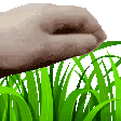 touchgrassb