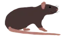 GA_Rat