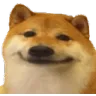 dogewat