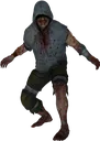hunter hunter