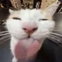 bleh